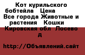 Кот курильского бобтейла › Цена ­ 5 000 - Все города Животные и растения » Кошки   . Кировская обл.,Лосево д.